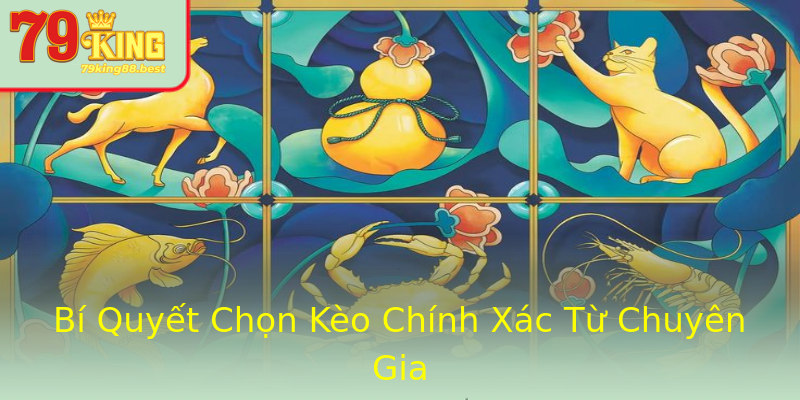 Bí Quyết Chọn Kèo Chính Xác Từ Chuyên Gia