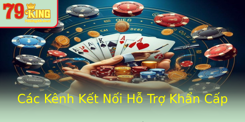 Các Kênh Kết Nối Hỗ Trợ Khẩn Cấp